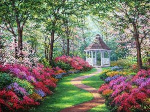 garden