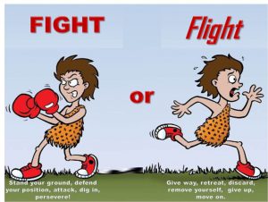 Fight-Or-Flight-image-3-1024x771