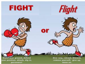 Fight-Or-Flight-image-3